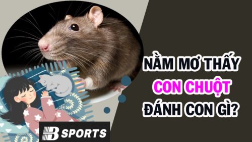 Mơ thấy chuột đánh con gì dễ trúng Mơ thấy chuột đánh con gì dễ trúng