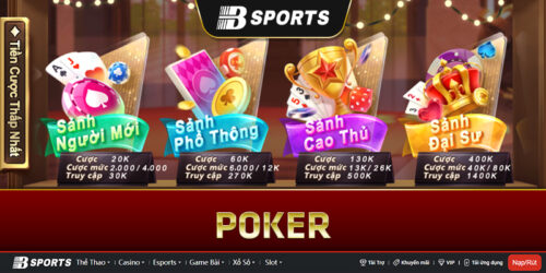 Đôi điều về poker