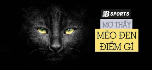 Giải mã giấc mơ thấy mèo đen Giải mã giấc mơ thấy mèo đen